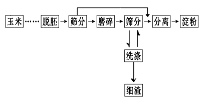 簡化后的玉米淀粉生產流程原理圖